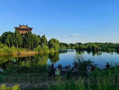 足球预测比分的方法-足球预测比分秘籍大公开，科学方法与实战技巧全解析